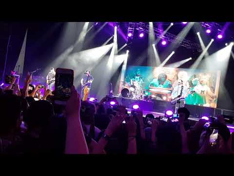 Stay Frosty Royal Milk Tea (60 FPS) - Fall Out Boy Live in Singapore 2018 (The Rock-afire Explosion)