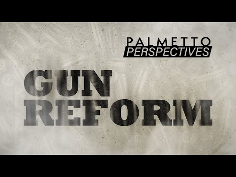 screenshot of youtube video titled Palmetto Perspectives | Gun Reform