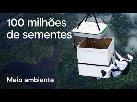 Paraquedista Luigi Cani salta a 300 km por hora para semear 100 milhões de sementes na Amazônia