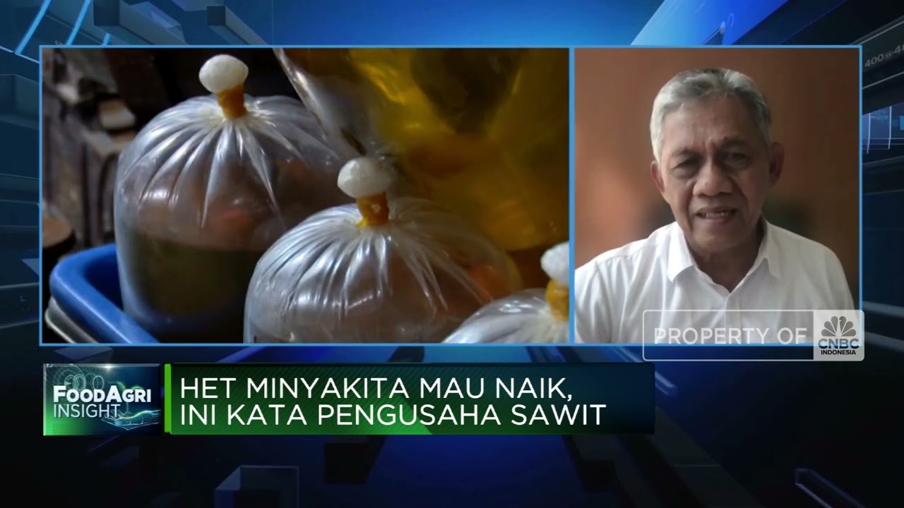 Percepat Program Biodiesel B40 Prabowo, RI Butuh Kebun Sawit Khusus