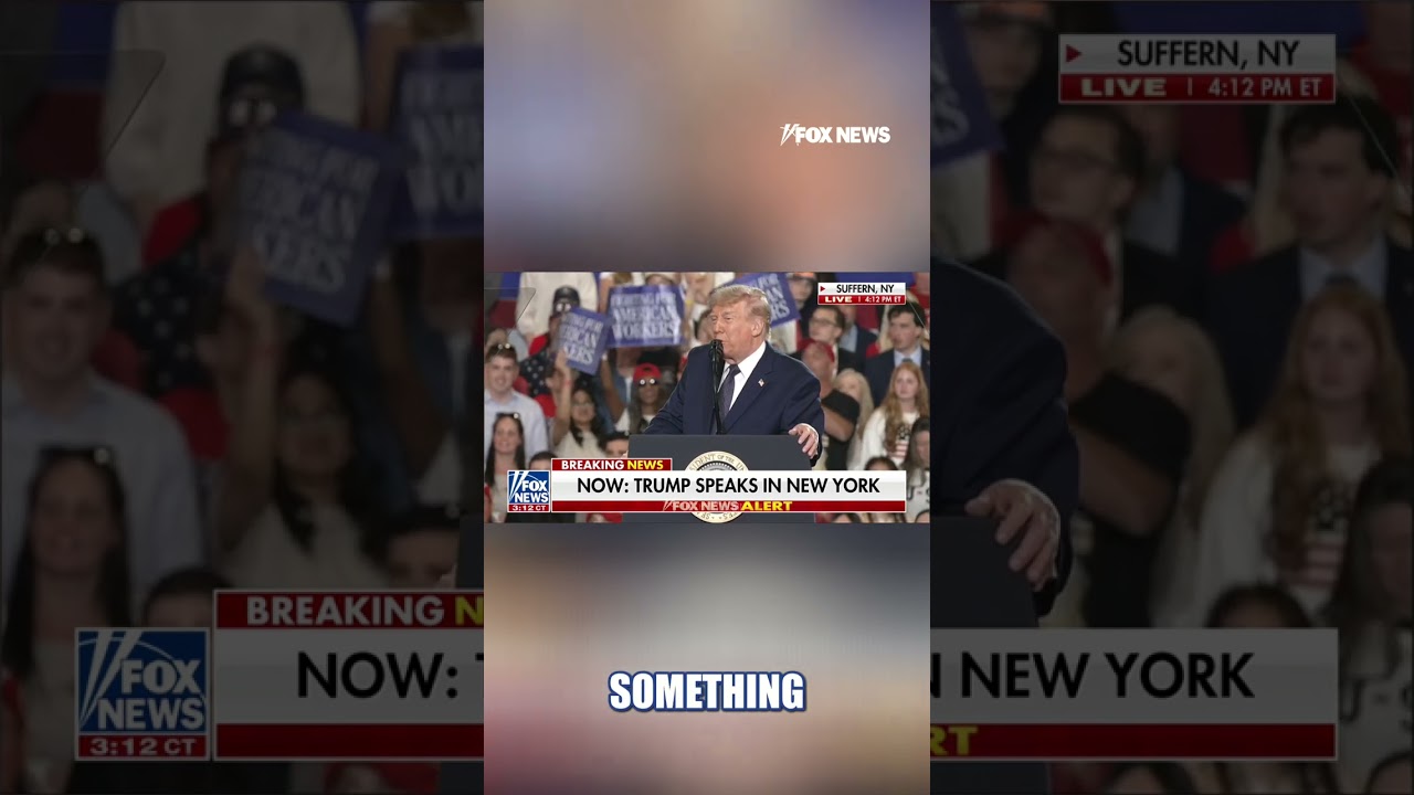 'DON'T HURT HIM': Trump jokes with security after disturbance in crowd