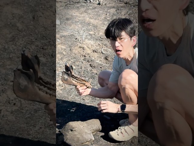 제보를 받았습니다