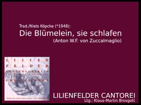 Trad./Niels Köpcke: Die Blümelein, sie schlafen (Zuccalmaglio)