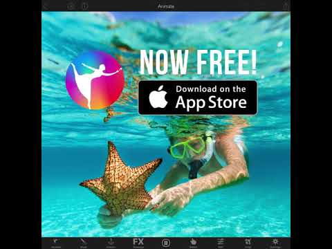 Plotaverse adds movement to photos in minutes Plotaverse adds movement to photos in minutes