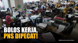 Bolos Kerja! Siap Siap, ASN Dipecat dan Kehilangan Tunjangan serta Uang Pensiun