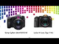 Sony Cyber-shot RX10 IV (DSC-RX10M4) vs Leica V-Lux (Typ 114)