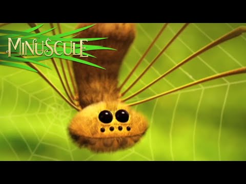 Miniscule - kompilcia 10