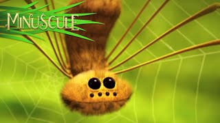 Miniscule - kompilácia 10