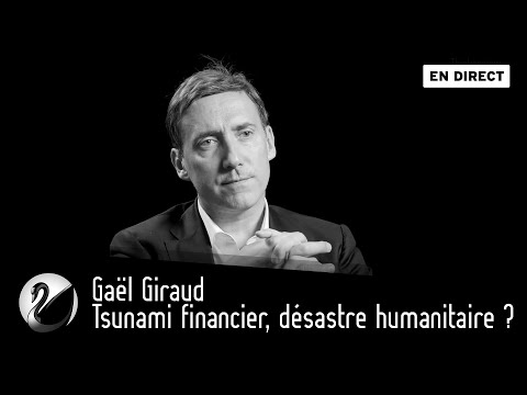 Gaël Giraud : Tsunami financier ?