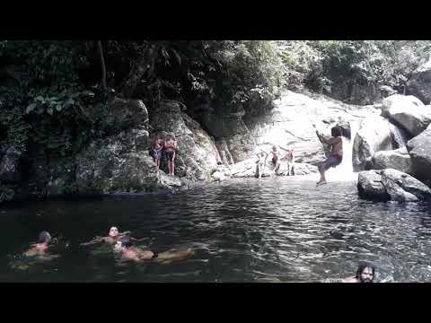 Video realizado por la propiedad