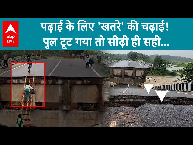 Gujarat News: पुल टूट गया तो सीढ़ी ही सही, पढ़ाई जरूरी इसलिए सीढ़ी मजबूरी | ABP LIVE