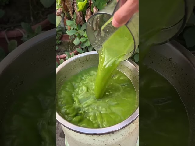Have you ever eaten this crispy ball|Chinese Mountain Forest Life And Food #MoTiktok #Fyp