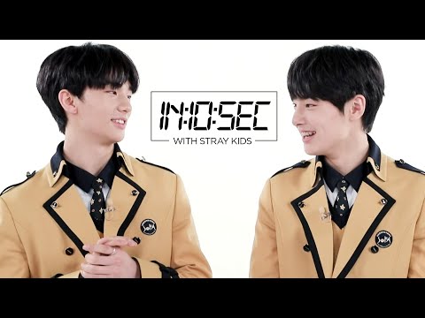 STRAY KIDS IN 10 SEC ENG SUB • dingo kdrama