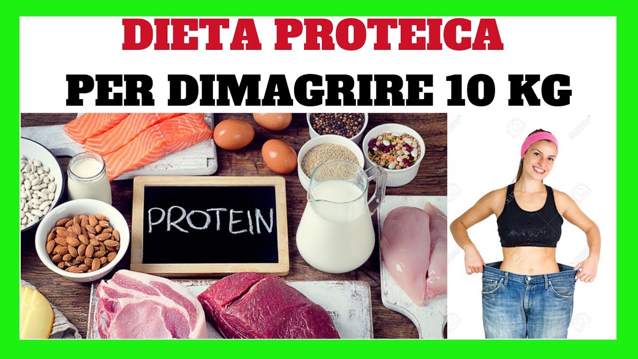 Dieta proteica fases