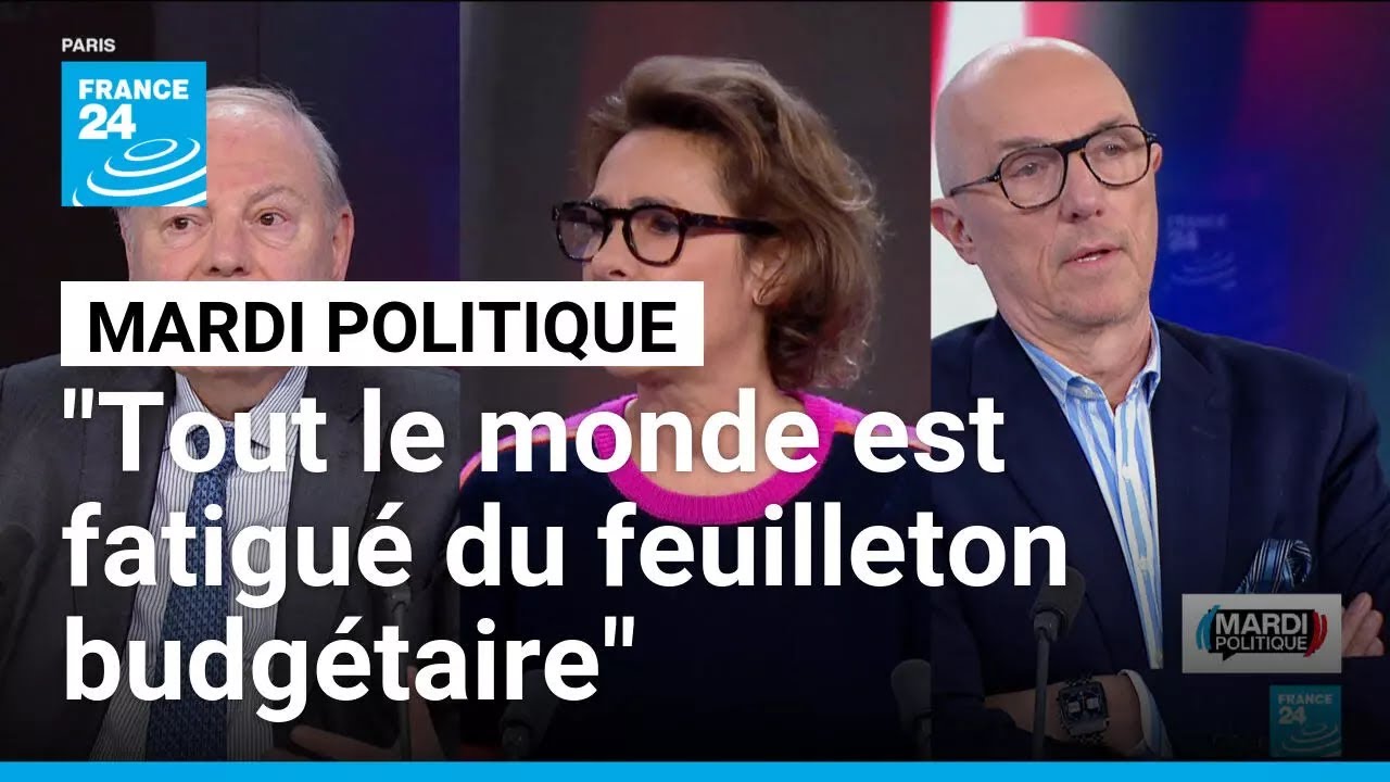 MARDI POLITIQUE 13/01/2026 • FRANCE 24