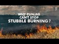 Why Punjab Cant Stop Stubble Burning? | Delhi Air Pollution | AQI | News9 Plus Decodes