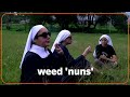 Meet Mexico’s weed ‘nuns’ | REUTERS - 03:23 min - News - Video