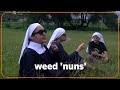 Meet Mexico’s weed ‘nuns’ | REUTERS