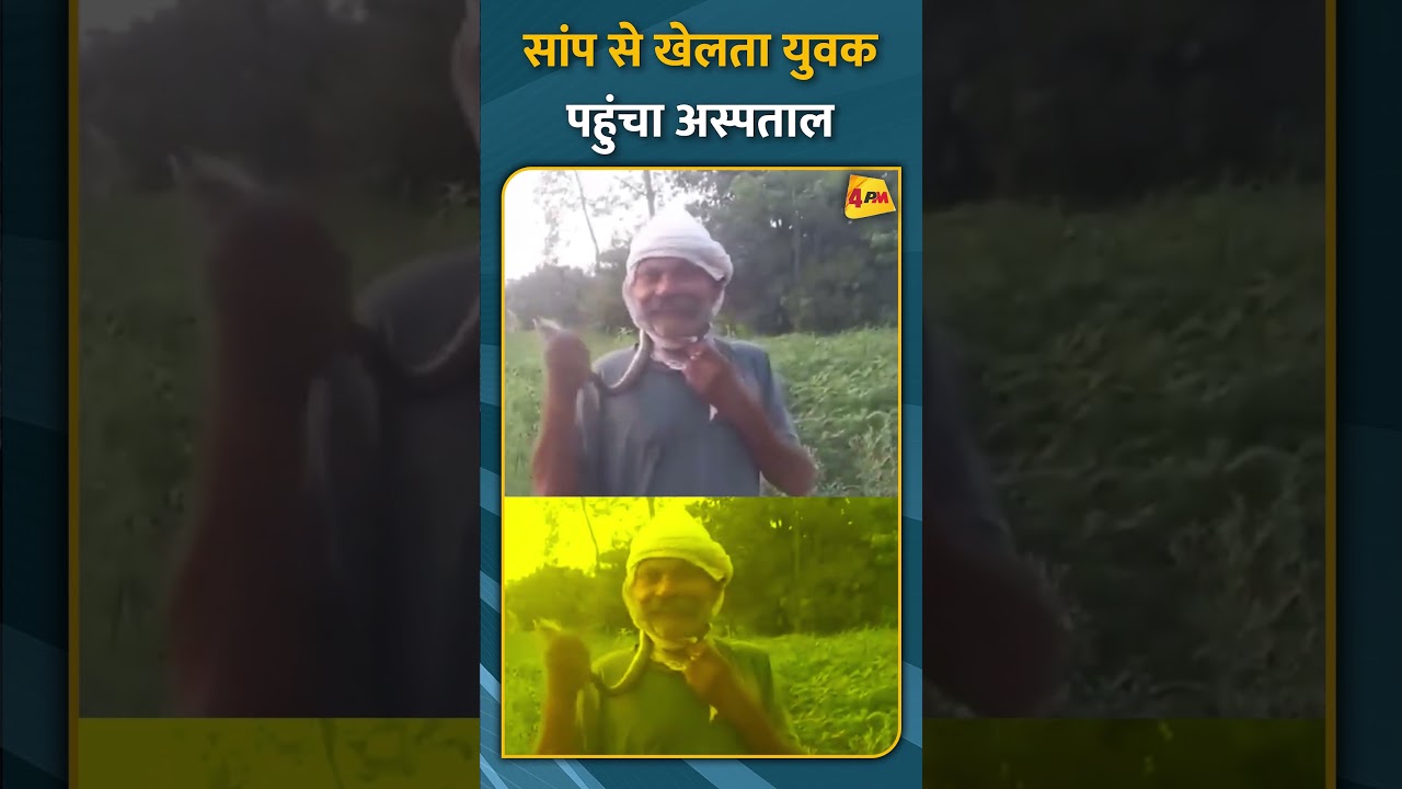 सांप से खेलता युवक पहुंचा अस्पताल #short #shorts