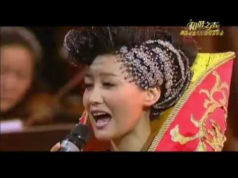 和谐之声 谭晶维也纳金色大厅独唱音乐会
