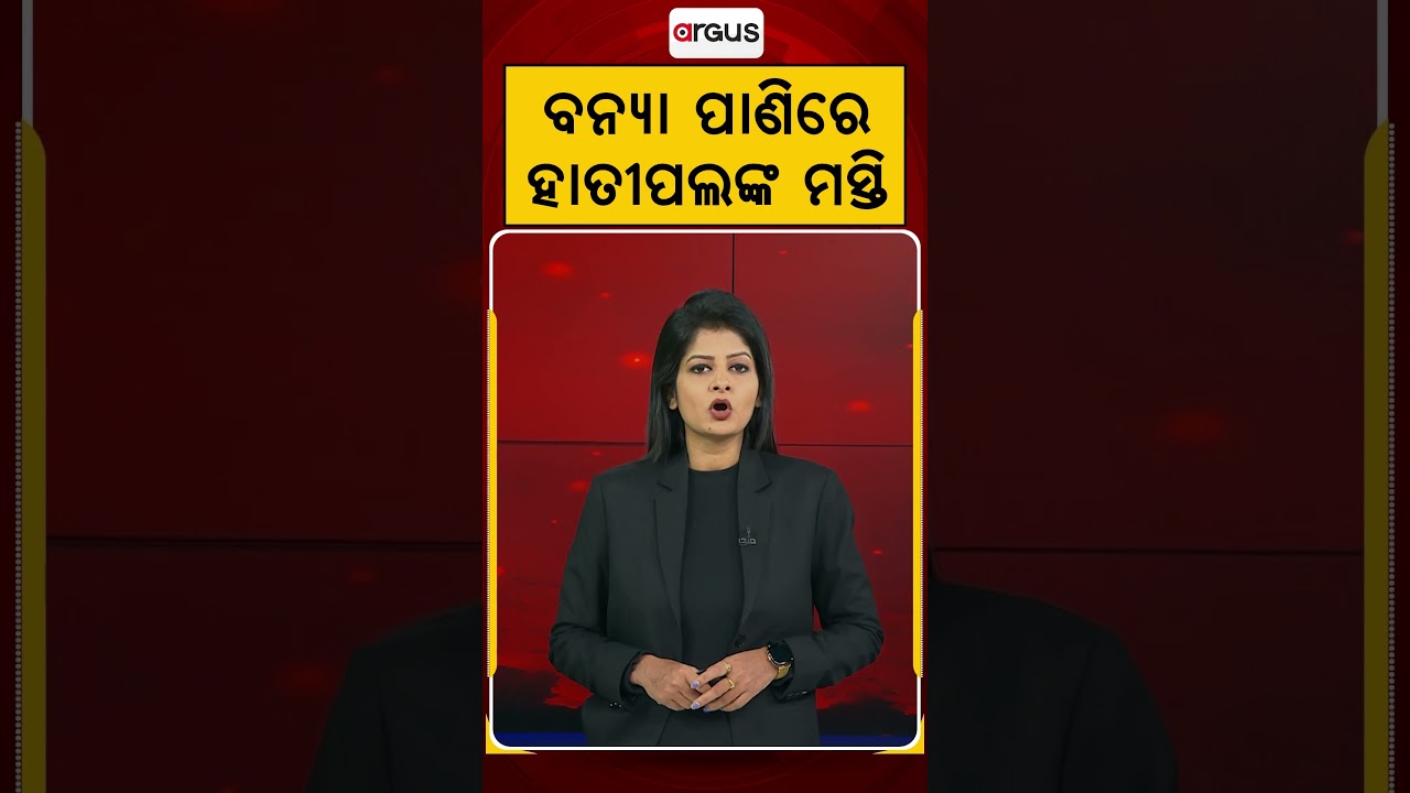 ବନ୍ୟା ପାଣିରେ ହାତୀପଲଙ୍କ ମସ୍ତି | Argus Reels | FloodWater | ElephantsBathing | ViralWildlife