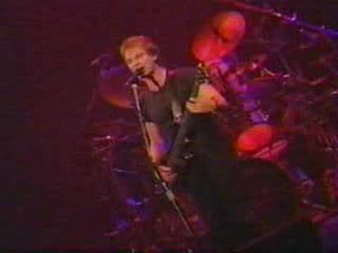 Sting-Mad About You-Live