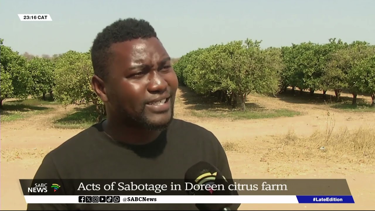 Limpopo citrus farmer denounces acts of theft