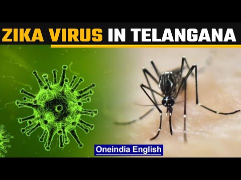 Zika found in Telangana, ICMR study