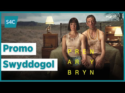 Pren ar y Bryn'