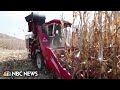 China’s food security threatened by climate change