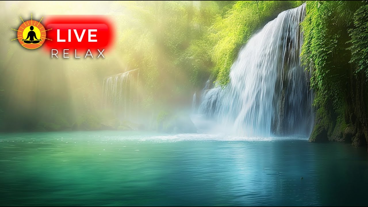 🔴 Beautiful Piano Music 24/7 🎹3345 - Study Focus Music, Relaxation, Sleeping Music, Meditation Music