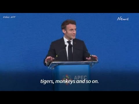 Emmanuel Macron beim APEC-Gipfel: »Wir benötigen eine einheitliche Weltordnung!«