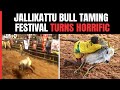 Jallikattu Deaths In TN | Why Bulls Attack People During Jallikattu Festival? Activist Explains