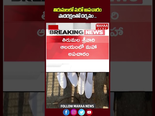 తిరుమలలో మరో అపచారం పాదరక్షలతో దర్శనం | Tirumala | Mahaa News