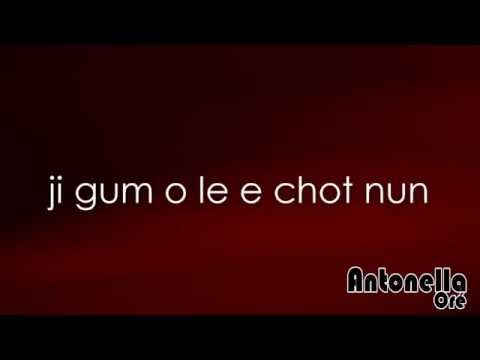 snow flower - Park Hyo Shin Romanization