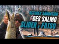 Leurre Slider Sinking Salmo 12cm