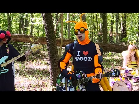 Friends For Sale - Clear Conscience Irony  (Official Video)