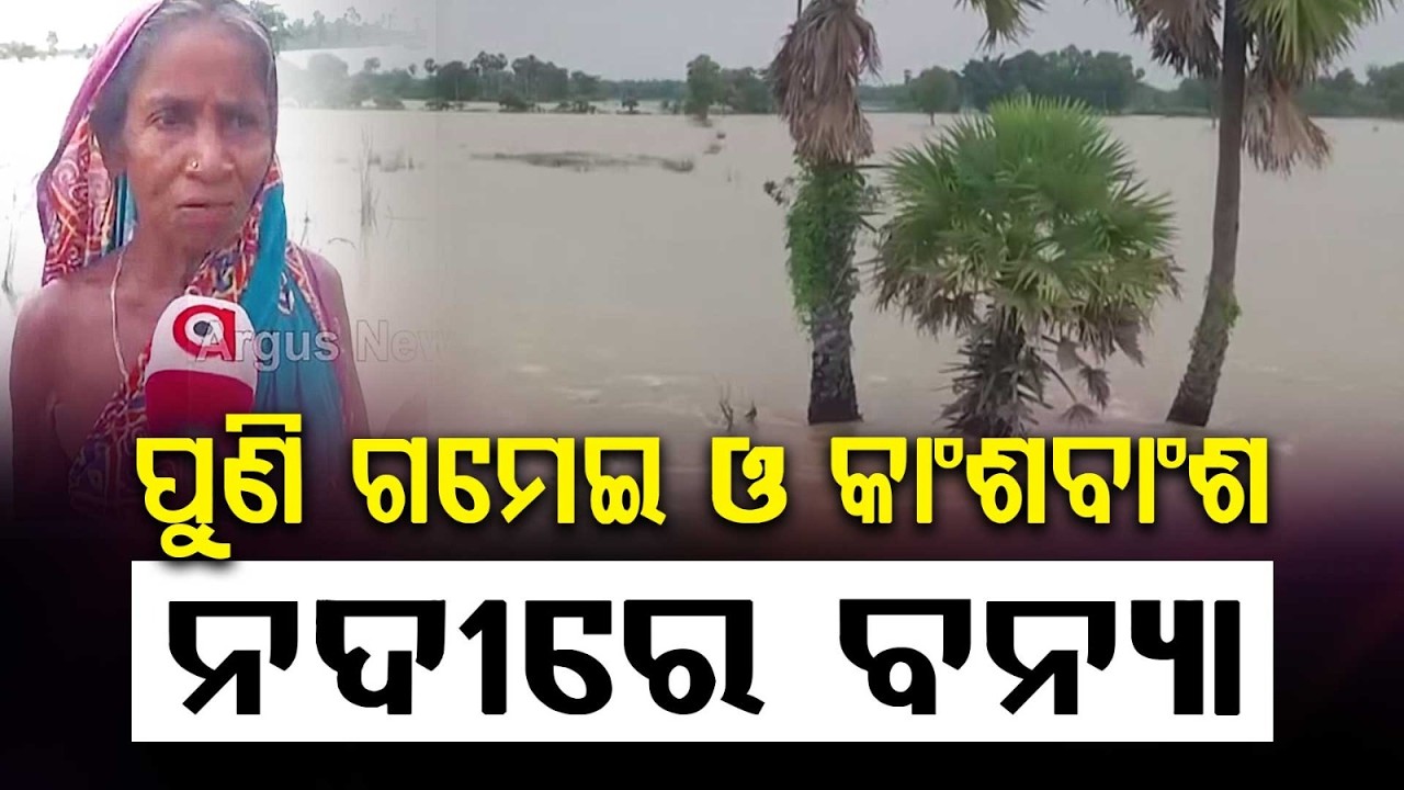 Third Flood In A Month: Basudevpur Farmers Devastated As Rivers Swell | Argus News