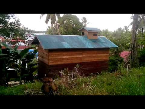Duta Walet Video, Gedung Walet Dari Bahan Kayu Biasa, RBW 