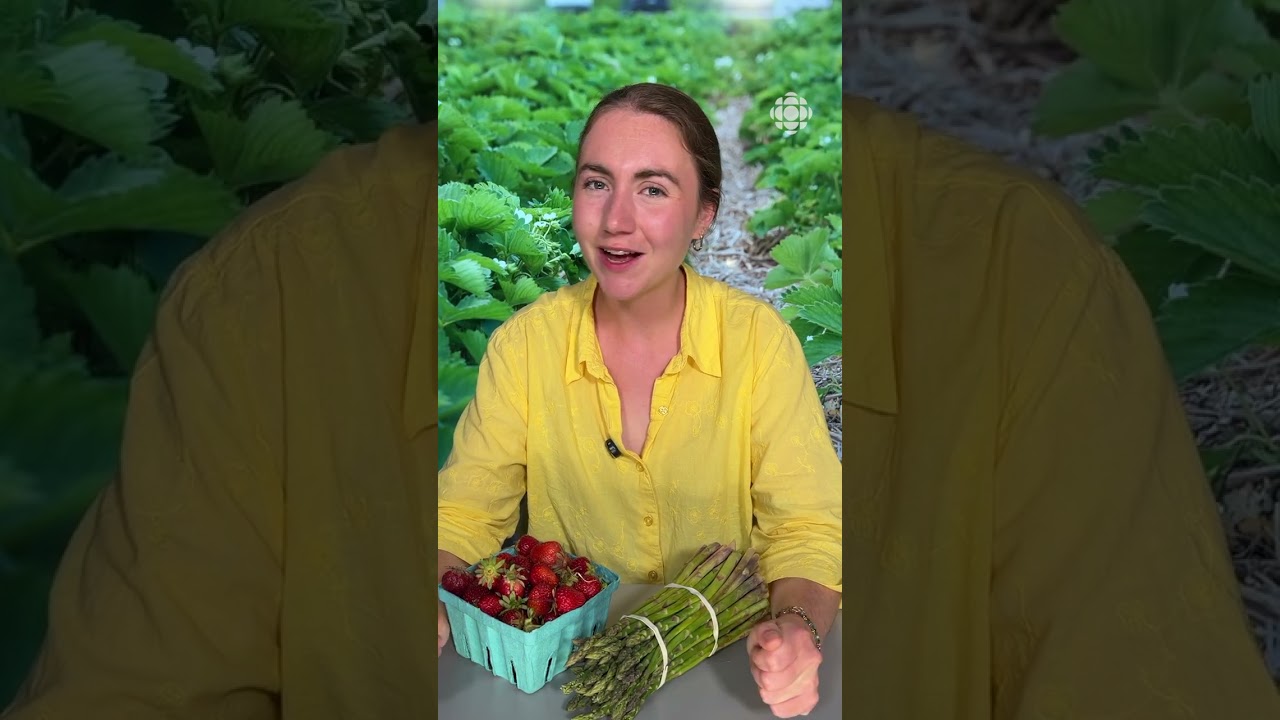 Le combat commun des producteurs de fraises et asperges