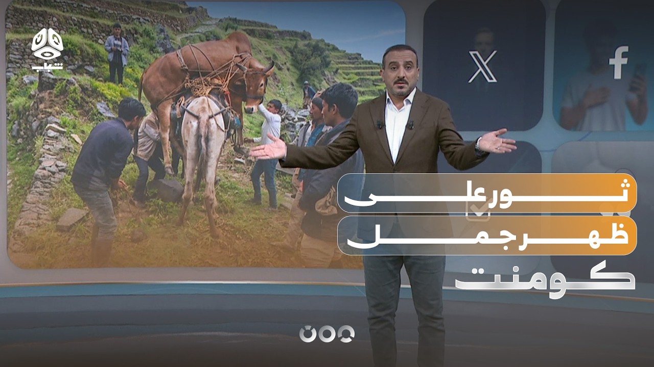 التفاصيل الكاملة لمشهد الجمل الذي حمل ثورا | كومنت
