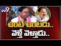KCR reacts to D Srinivas controversial issue
