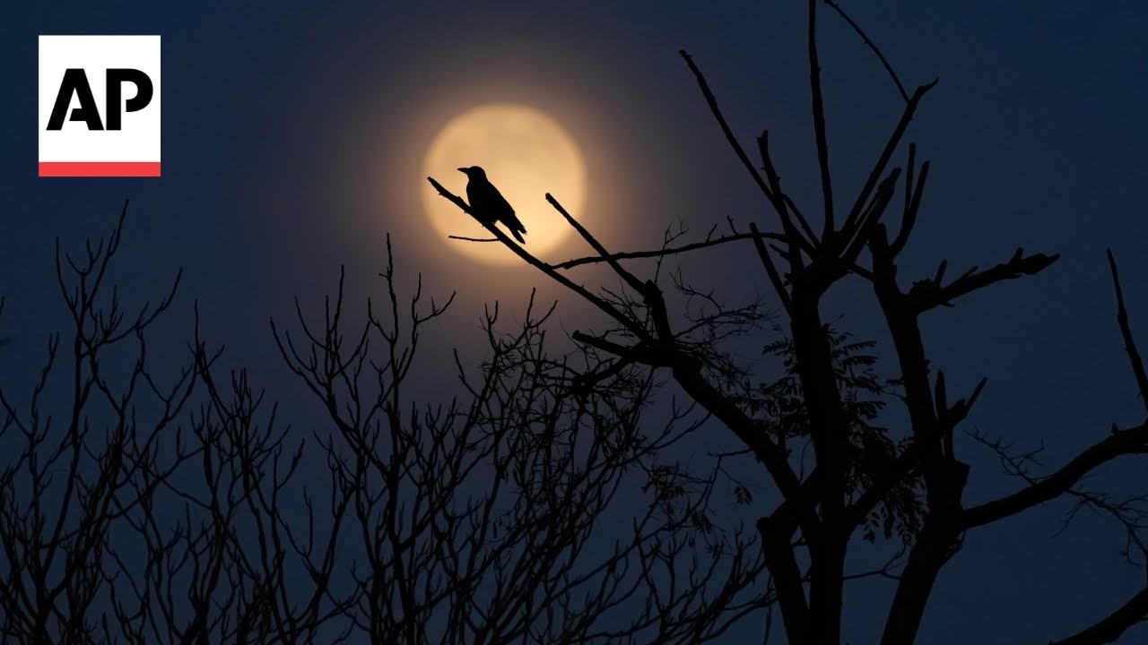 Top photos of the week by AP photojournalists