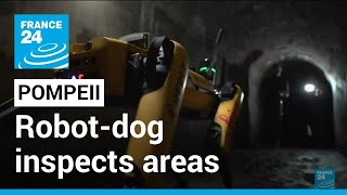 Pompeii archeological park: Robot-dog inspects inaccessible areas of the famous site • FRANCE 24