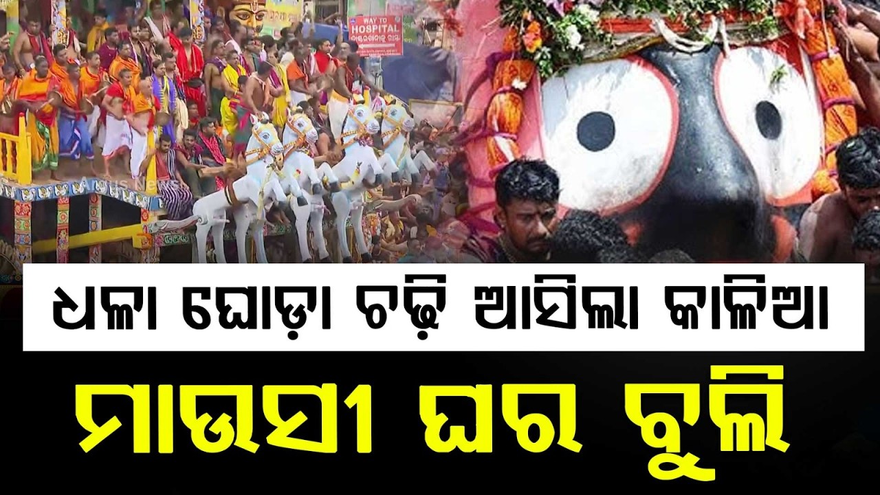 Miracle In Puri: Lord Jagannath Appears On White Horse During Rath Yatra | Argus News