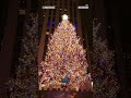 Watch the Rockefeller Center Christmas tree get lit  - 00:15 min - News - Video
