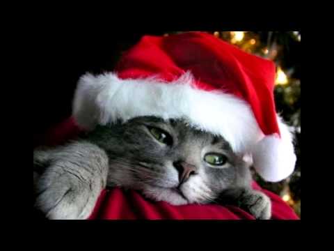 Merry Christmas Everyone Po Polsku