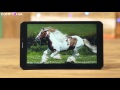 Prestigio Grace PMT3118 - восьмидюймовый планшет с поддержкой двух SIM-карт - Видео демонстрация