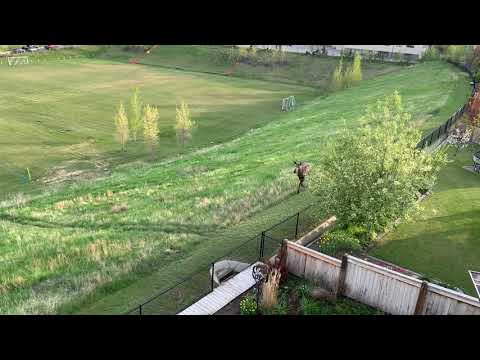 Property video