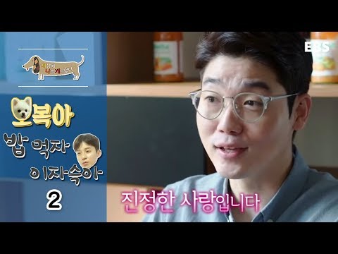 세상에 나쁜 개는 없다 - 오복아 밥먹자 이자슥아_#002